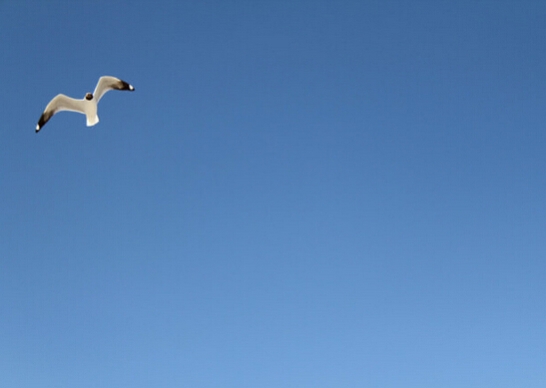 《欣裕華線纜》—— 2015誠(chéng)信客戶交流會(huì)圓滿成功！